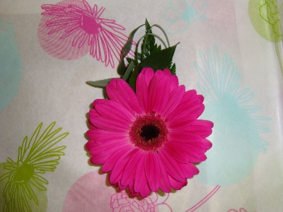 Gerbera Buttonhole